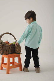 Teal Green Plain Shirt